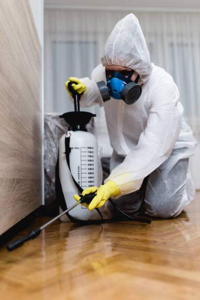 Best Bed Bug Extermination  in La Pine, OR